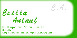 csilla anlauf business card